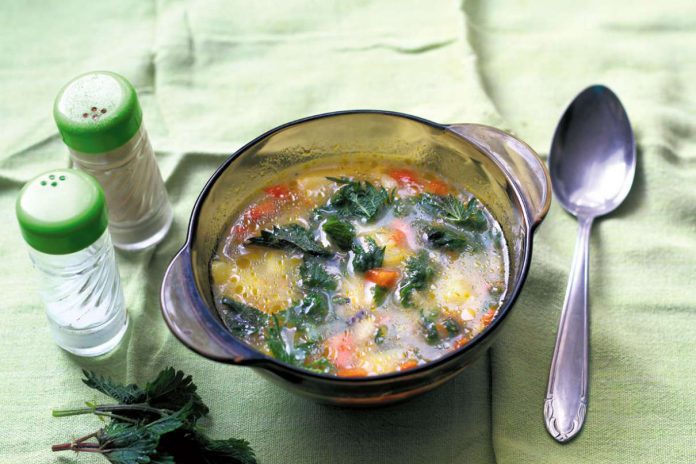 Zupa z pokrzywą