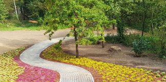 Park Zdrojowy w Ciężkowicach