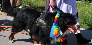 Zjazd Berneńczyków