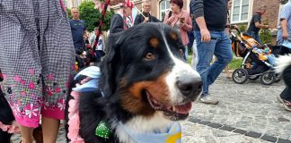 Parada berneńczyków 2021