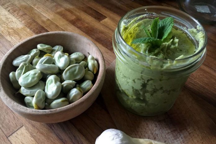 Pasta z bobu i mięty