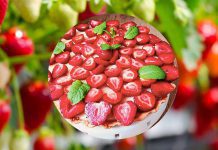 Tarta Z budyniem i truskawkami