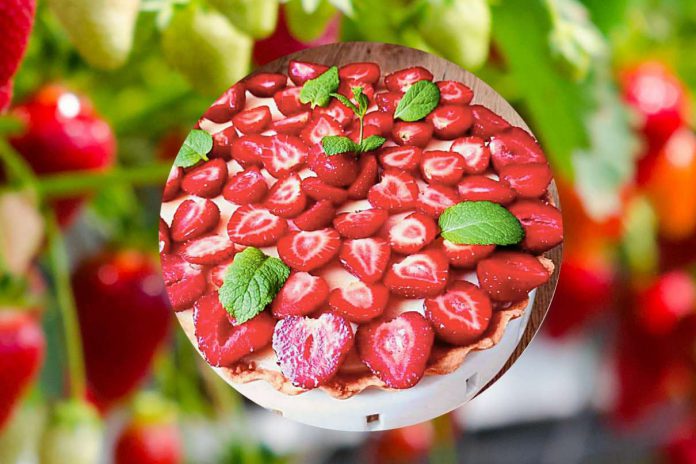 Tarta Z budyniem i truskawkami Tarta Z budyniem i truskawkami