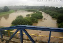 Biała wysoki poziom