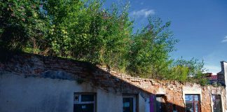 Kamienica z dżunglą przy Wielkich Schodach to zagrożenie i szpetny widok