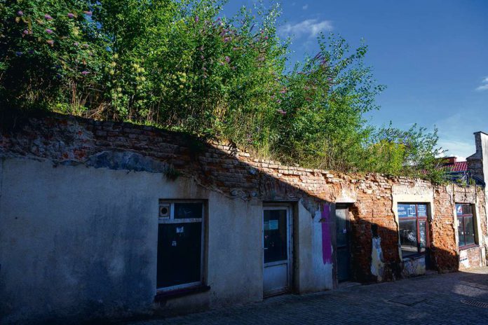 Kamienica z dżunglą przy Wielkich Schodach to zagrożenie i szpetny widok