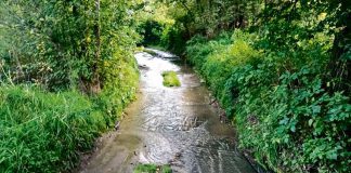 Grabno - rzeka zamiast drogi