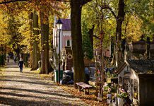 Tarnów. Czy cmentarze będą otwarte