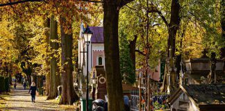 Tarnów. Czy cmentarze będą otwarte