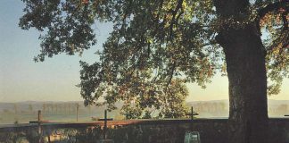 cmentarz wojenny z okrrsu I wojny światowej