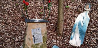 Sprawca dewastacji zatrzymany