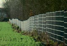 Jak zatrzymać pomór świń