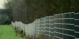 Jak zatrzymać pomór świń