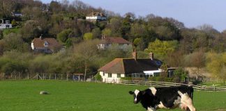 Uciekają z miasta a na wsi im śmierdzi