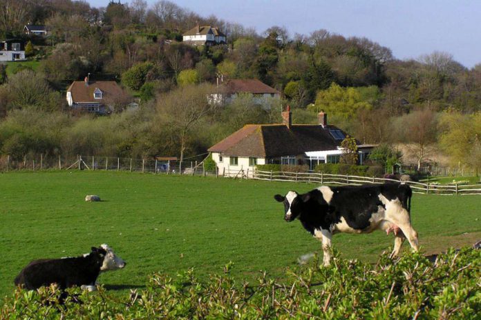 Uciekają z miasta a na wsi im śmierdzi