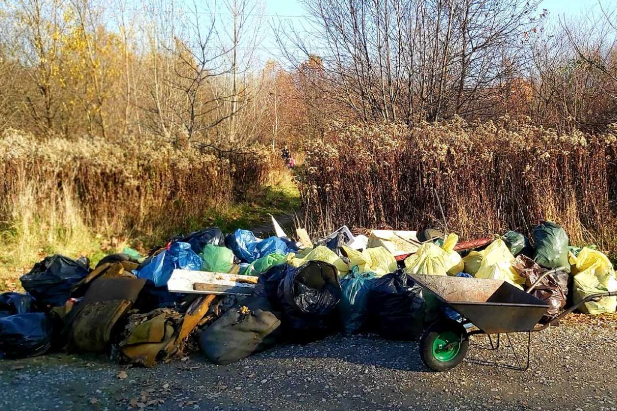 Zbiórka lasek Lipie