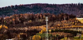 Awantura o masz w gminie Wierzchosławice