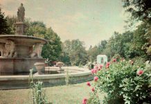 Fontanna Park Strzelecki MUFO