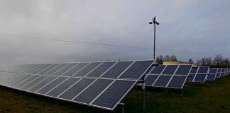 Pandemia wstrzymuje fotowoltaiczne inwestycje