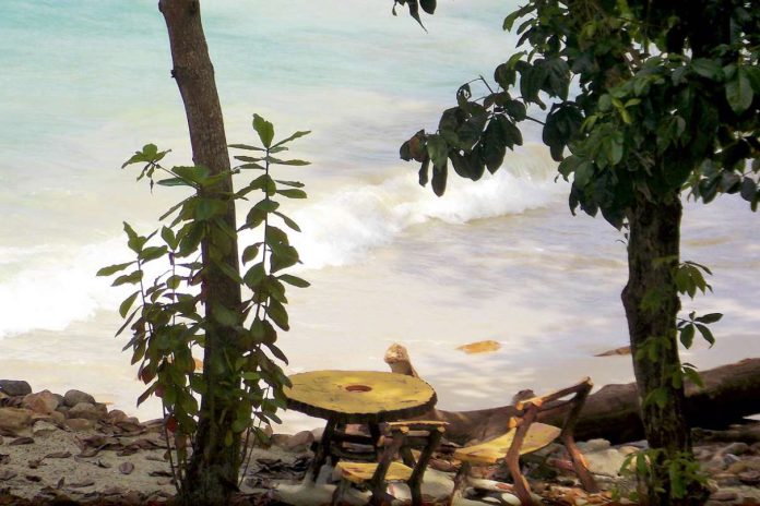 Spotkania z rekinami