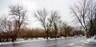 Tarnów planowane rondo przy Szujskiego