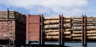 Skład pociąg drewno