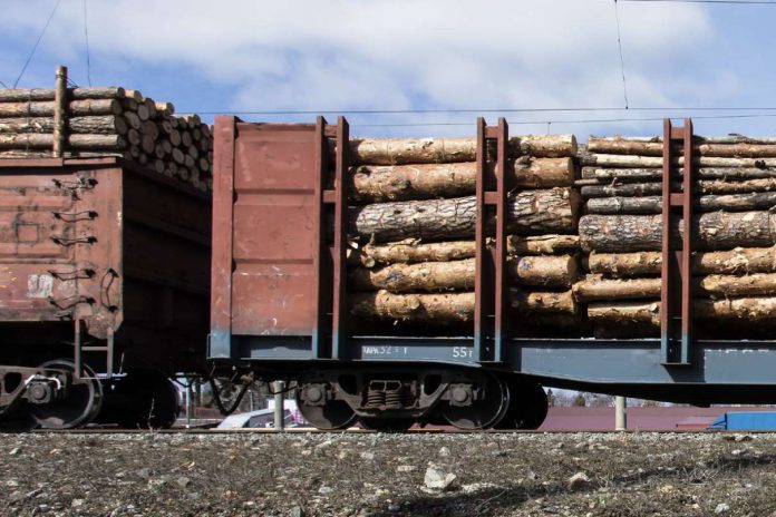 Skład pociąg drewno Skład pociąg drewno