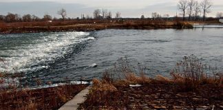 Elektrownia na Dunajcu ma powstać w miejscu progu wodnego w Ostrowie