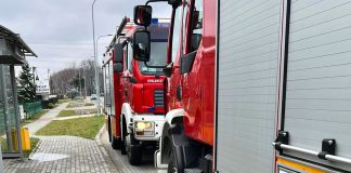 Łęg Tarnowski interwencja