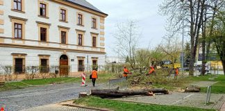 Remont wycinka Piłsudskiego