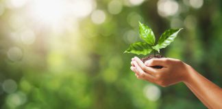 Światowy Dzień Ziemi