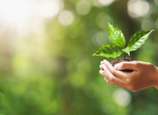 Światowy Dzień Ziemi