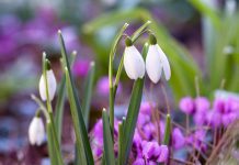 Wiosenne przesilenie