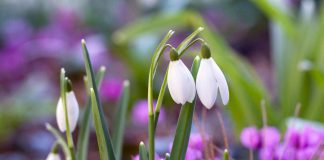 Wiosenne przesilenie