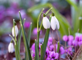 Wiosenne przesilenie