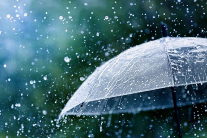 Deszcz majowy Deszcz majowy