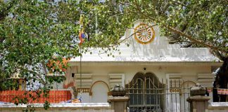 Pod drzewem oświecenia