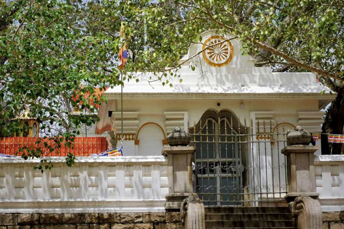 Pod drzewem oświecenia