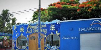 Galapagos