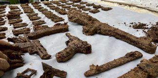 Powiat brzeski - odkopali skarb