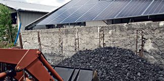 Uważaj, żeby zamiast węgla nie kupić czarnych kamieni