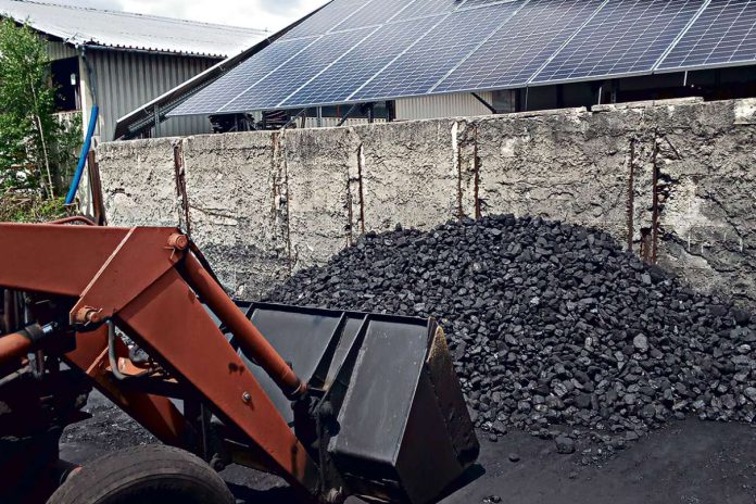 Uważaj, żeby zamiast węgla nie kupić czarnych kamieni