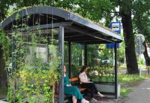 W Tarnowie będzie więcej zielonych przystanków