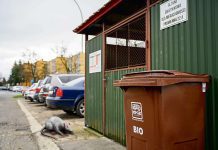 Tarnów - pełne i brudne pojemniki BIO wabią szczury