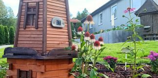 Sensoryczny Skrzyszów