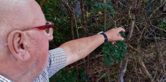 Mieszkaniec Tarnowa chce się rozstać z przydomowym szambem