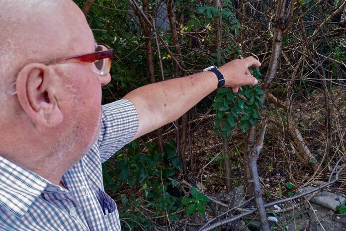 Mieszkaniec Tarnowa chce się rozstać z przydomowym szambem