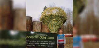 Największy Grzyb Świata już nie taki największy