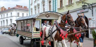 Zamiast taboru konferencja