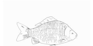 A Karaś dalej płynie